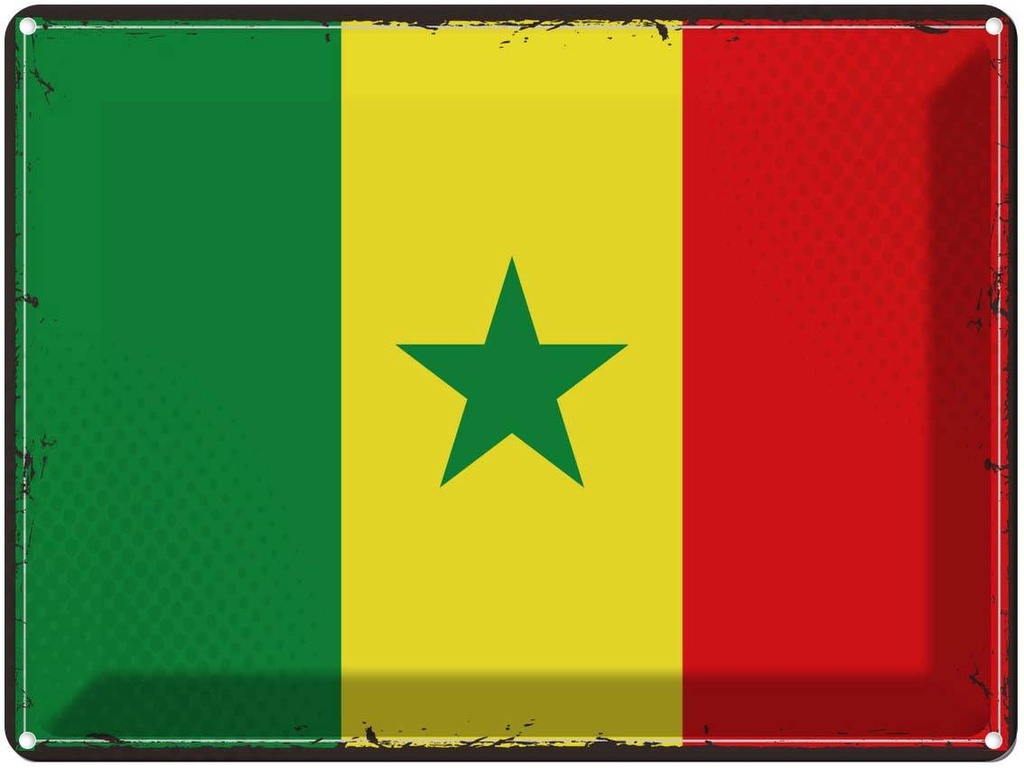 Blechschild 30x40 cm Senegal Retro Flagge Fahne Wappen