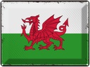 Blechschild 30x40 cm Wales Retro Flagge Fahne Wappen