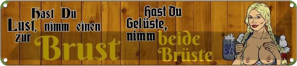Blechschild 10x46 cm hast du Lust nimm einen zur Brust Bier Spruch Zitat