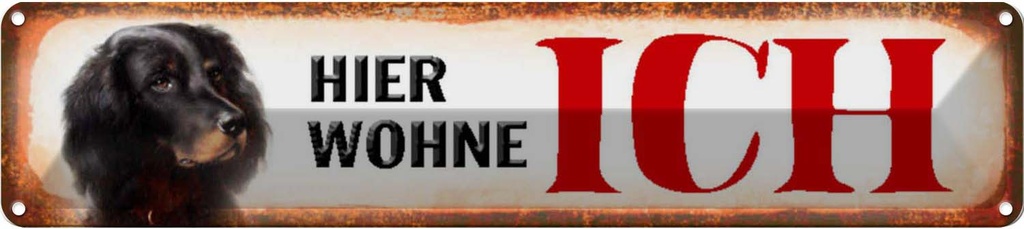 Blechschild 10x46 cm Spaniel Hund hier wohne Tier Haustier
