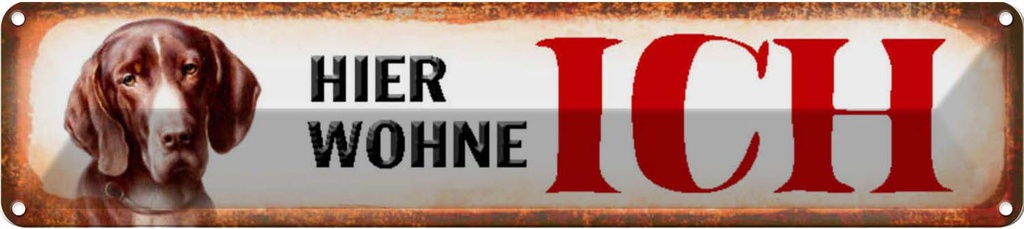 Blechschild 10x46 cm Beagle Hund hier wohne Tier Haustier