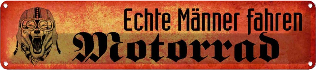 Blechschild 10x46 cm Echte Männer fahren Motorrad Frauen Spruch Zitat