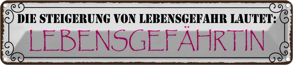 Blechschild 10x46 cm Lebensgefahr Lebensgefährtin Dekoration Spruch Zitat
