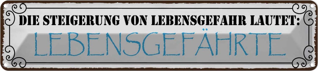 Blechschild 10x46 cm Lebensgefahr Lebensgefährte Dekoration Spruch Zitat