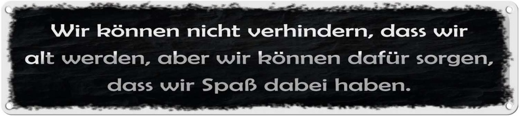 Blechschild 10x46 cm nicht verhindern dass wir alt Spruch Zitat