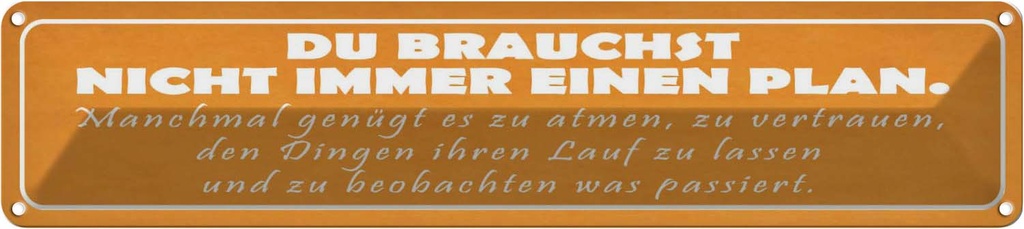 Blechschild 10x46 cm du brauchst nicht immer Plan Spruch Zitat