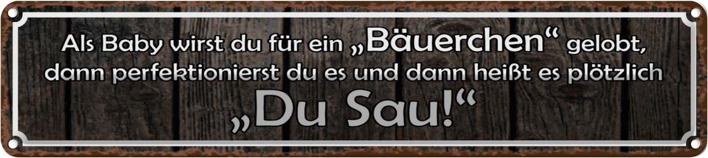 Blechschild 10x46 cm als Baby für Bäuerchen gelobt Dekoration Spruch Zitat