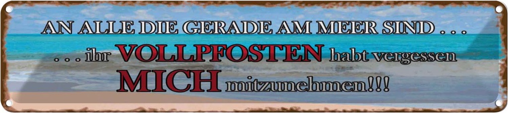 Blechschild 10x46 cm an alle die gerade am Meer sind Spruch Zitat