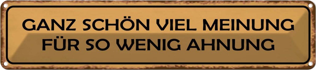 Blechschild 10x46 cm ganz schön viel Meinung für so Dekoration Spruch Zitat