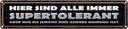Blechschild 10x46 cm sind alle immer supertolerant Dekoration Spruch Zitat