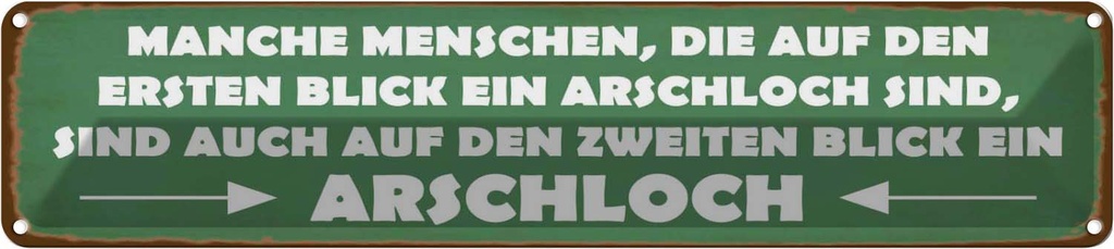 Blechschild 10x46 cm manche Menschen Arschloch Dekoration Spruch Zitat