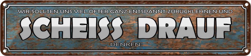 Blechschild 10x46 cm wir sollten Scheiss drauf denken Spruch Zitat