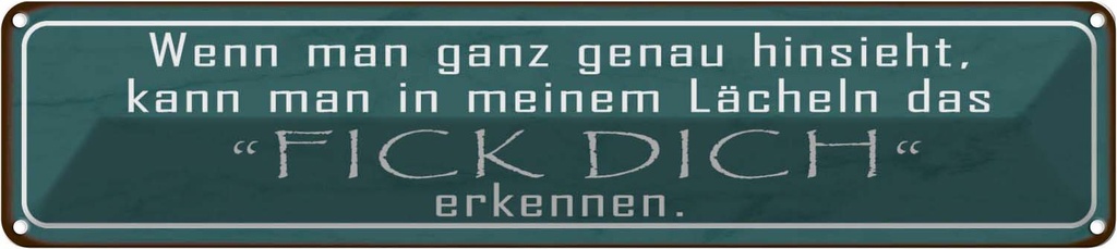Blechschild 10x46 cm in meinem Lächeln Fick Dich Dekoration Spruch Zitat