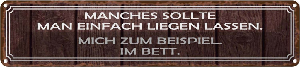 Blechschild 10x46 cm manches sollte man liegen lassen Spruch Zitat