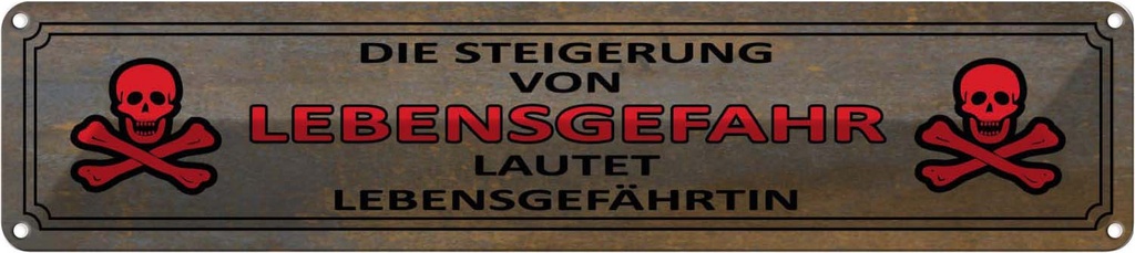 Blechschild 10x46 cm von Lebensgefahr Lebensgefährtin Spruch Zitat