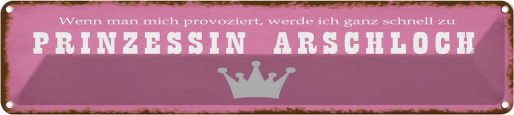 Blechschild 10x46 cm ich zu Prinzessin Arschloch Spruch Zitat