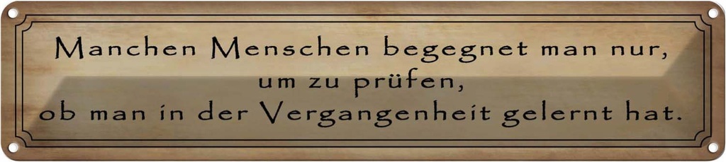 Blechschild 10x46 cm manche Menschen begegnet man nur Spruch Zitat