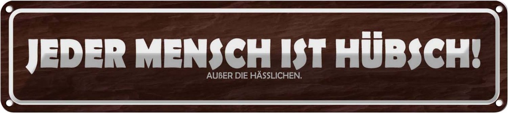 Blechschild 10x46 cm jeder Mensch ist hübsch außer Spruch Zitat