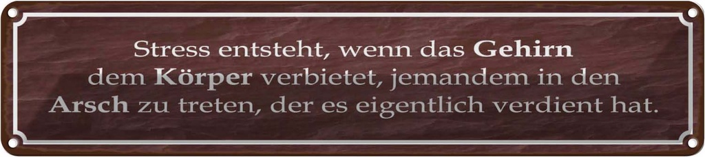 Blechschild 10x46 cm Stress entsteht wenn das Gehirn Spruch Zitat