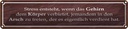 Blechschild 10x46 cm Stress entsteht wenn das Gehirn Spruch Zitat