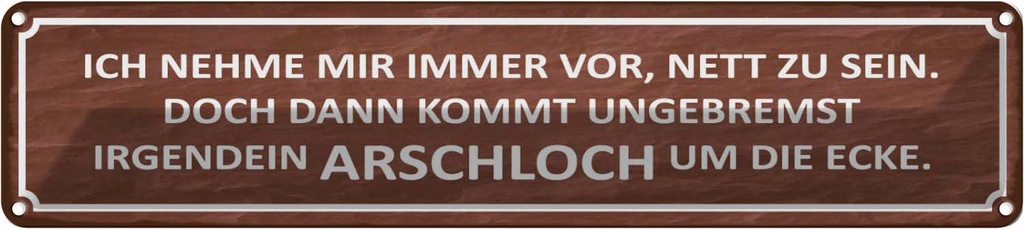 Blechschild 10x46 cm ich immer nett doch Arschloch Spruch Zitat