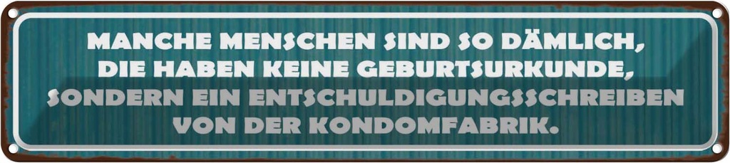 Blechschild 10x46 cm manche Menschen sind so dämlich Spruch Zitat