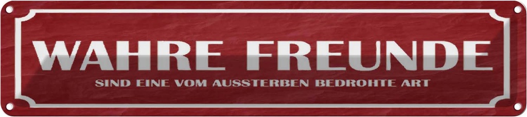Blechschild 10x46 cm wahre Freunde Spruch Zitat