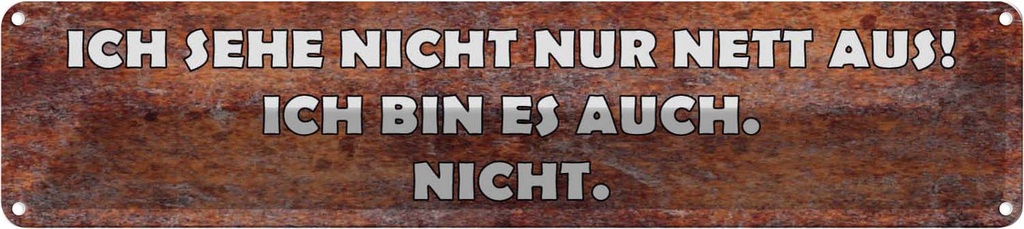 Blechschild 10x46 cm sehe nicht nur nett aus ich bin Spruch Zitat