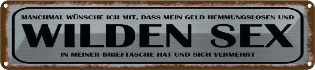 Blechschild 10x46 cm wünsche ich mir Geld wilden Sex Spruch Zitat
