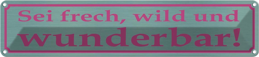 Blechschild 10x46 cm sei frech wild und wunderbar Spruch Zitat