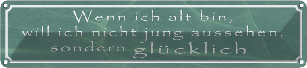 Blechschild 10x46 cm wenn ich alt bin will nicht jung Spruch Zitat