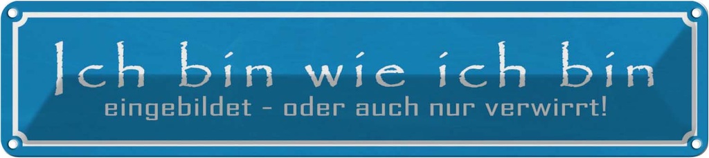 Blechschild 10x46 cm ich bin wie eingebildet Spruch Zitat