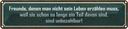 Blechschild 10x46 cm Freunde sind unbezahlbar Dekoration Spruch Zitat