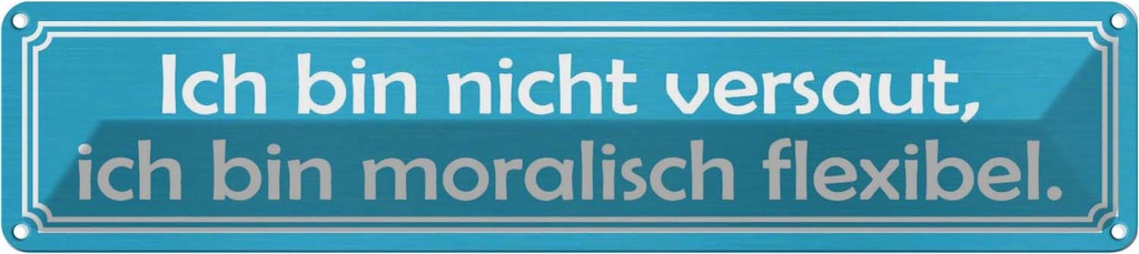 Blechschild 10x46 cm nicht versaut moralisch flexibel Spruch Zitat