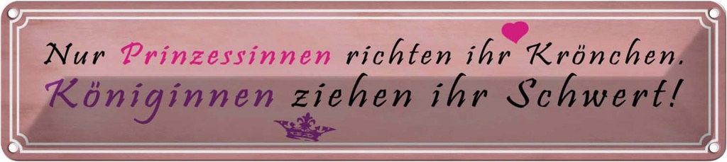 Blechschild 10x46 cm Prinzessinnen richten Krönchen Spruch Zitat