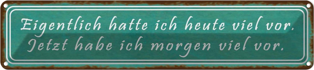 Blechschild 10x46 cm ich hatte heute viel vor Spruch Zitat