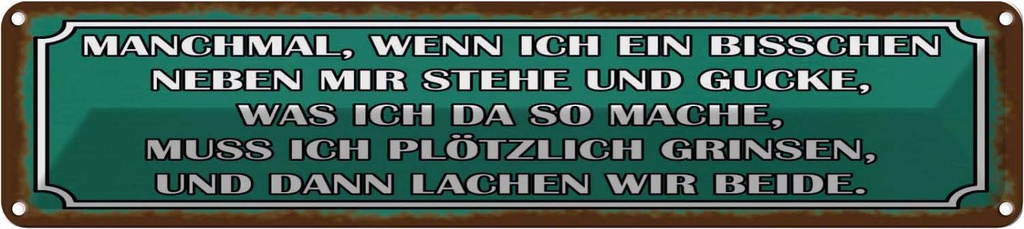 Blechschild 10x46 cm wenn ich neben mir stehe und Spruch Zitat