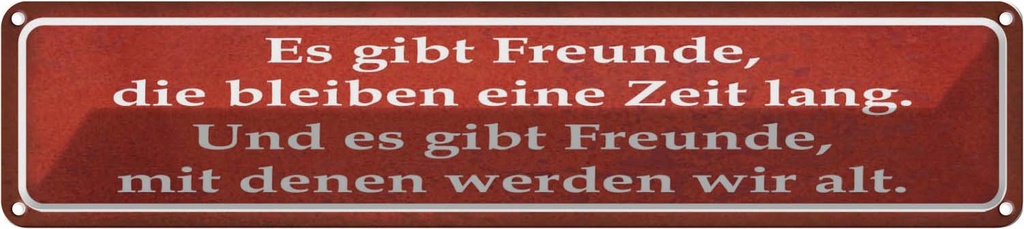 Blechschild 10x46 cm es gibt Freunde mit denen alt Spruch Zitat