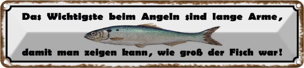 Blechschild 10x46 cm das wichtigste beim Angeln sind Spruch Zitat