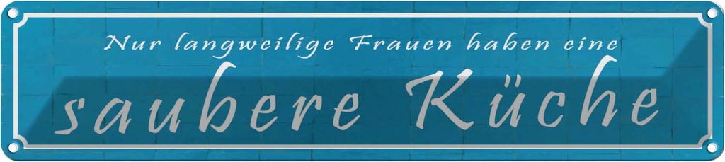 Blechschild 10x46 cm langweilige Frauen saubere Küche Spruch Zitat