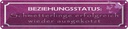 Blechschild 10x46 cm Beziehungsstatus Schmetterlinge Spruch Zitat