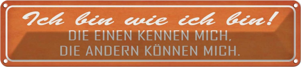 Blechschild 10x46 cm ich bin wie die einen Spruch Zitat