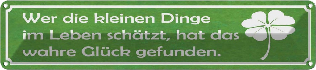 Blechschild 10x46 cm wer kleine Dinge schätzt Glück Spruch Zitat