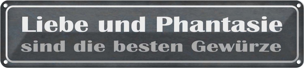 Blechschild 10x46 cm Liebe Phantasie beste Gewürze Spruch Zitat