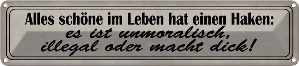 Blechschild 10x46 cm alles schöne hat einen Haken Spruch Zitat