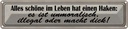 Blechschild 10x46 cm alles schöne hat einen Haken Spruch Zitat
