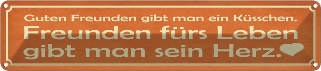 Blechschild 10x46 cm Freunden fürs Leben gibt Herz Spruch Zitat