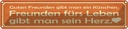 Blechschild 10x46 cm Freunden fürs Leben gibt Herz Spruch Zitat