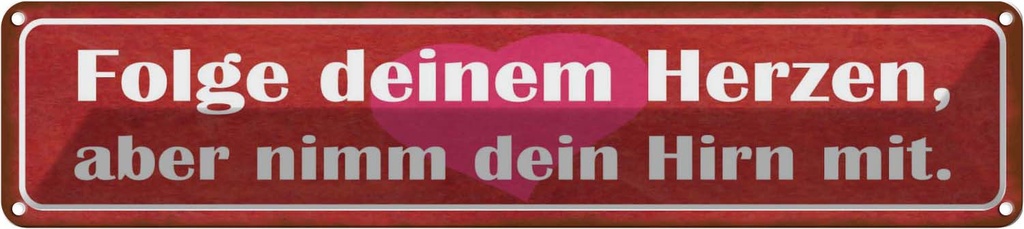 Blechschild 10x46 cm folge deinem Herzen nimm Hirn Spruch Zitat