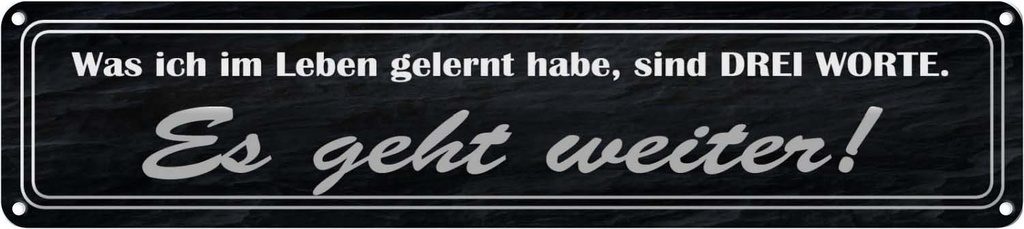 Blechschild 10x46 cm im Leben gelernt Es geht weiter Spruch Zitat